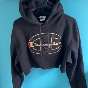 Champion cropped hoodie size XS.